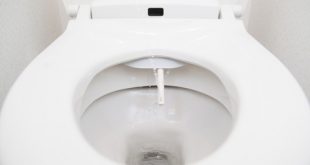 Best Bidet Reviews and Buying Guide