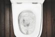 Best Flushing Toilet Reviews and Buying Guide