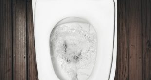 Best Flushing Toilet Reviews and Buying Guide