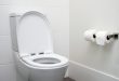 Best Toilet Reviews and Buying Guide
